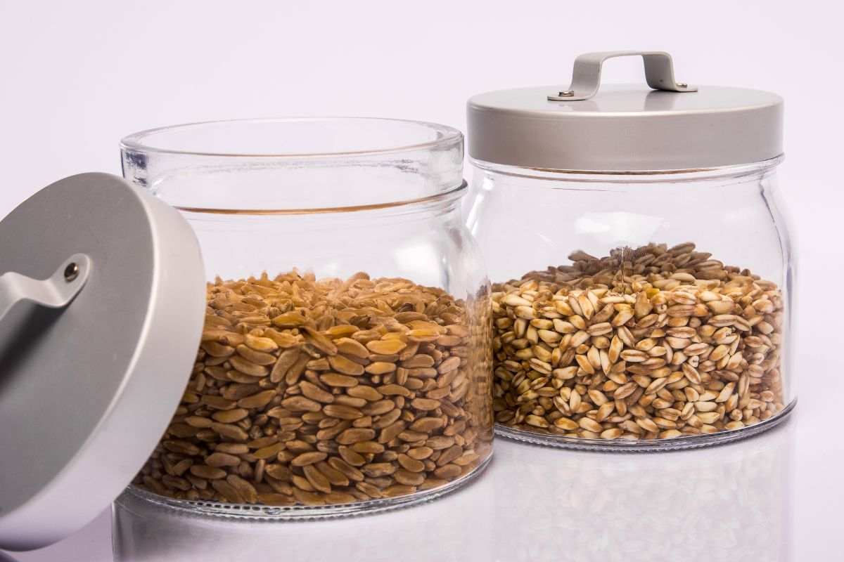 Barattoli in vetro contenenti cereali