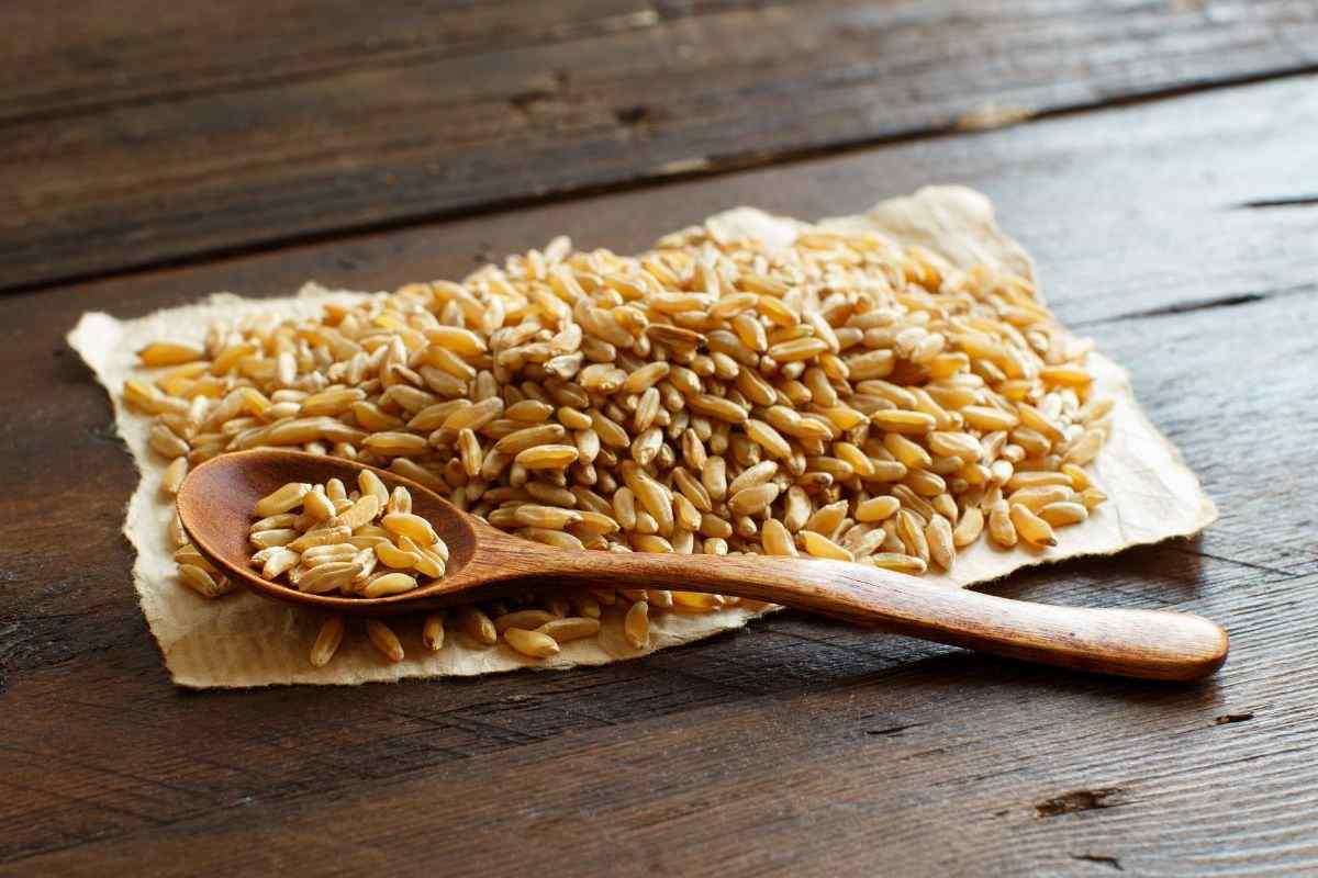 Cereale essiccato e raccolto