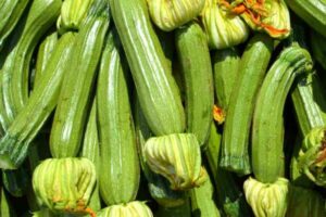 Zucchine