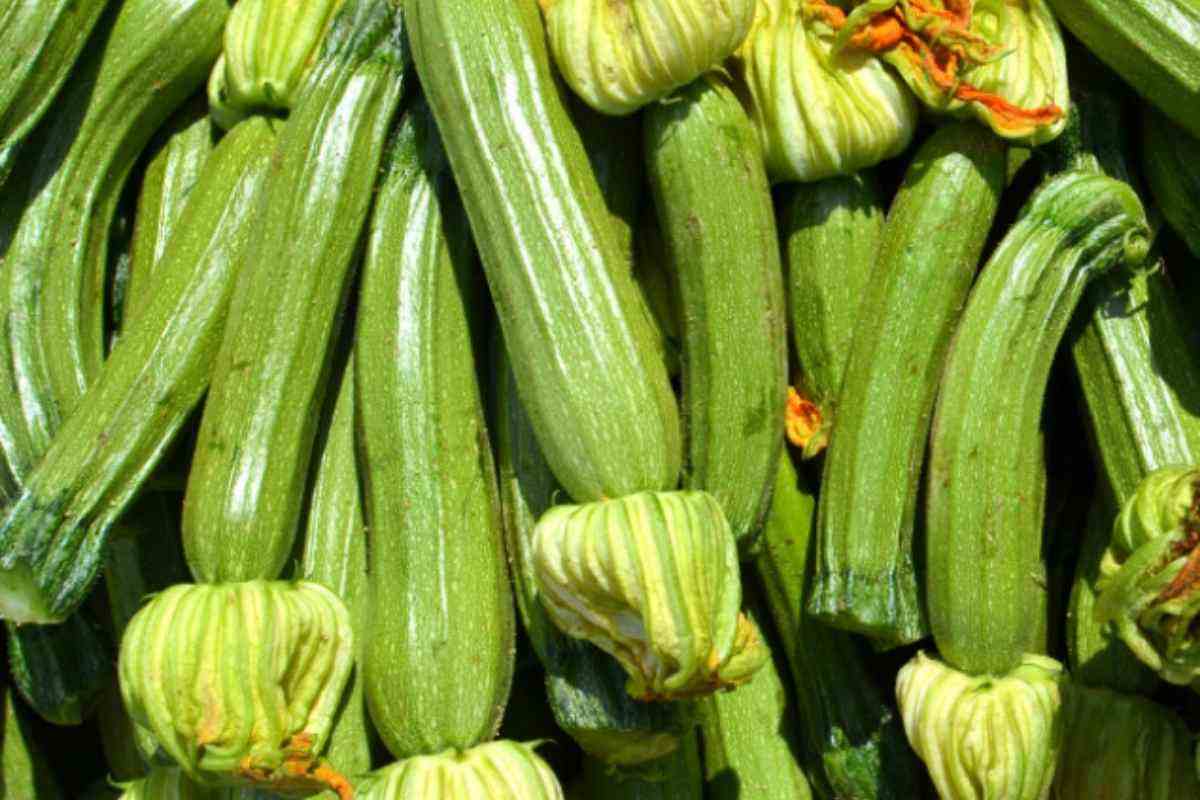 Zucchine
