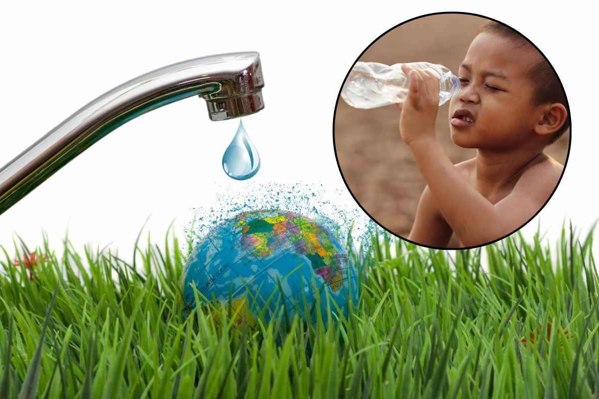 Bimbo cerca acqua