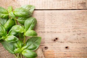 Basilico adagiato su un tavolo in legno