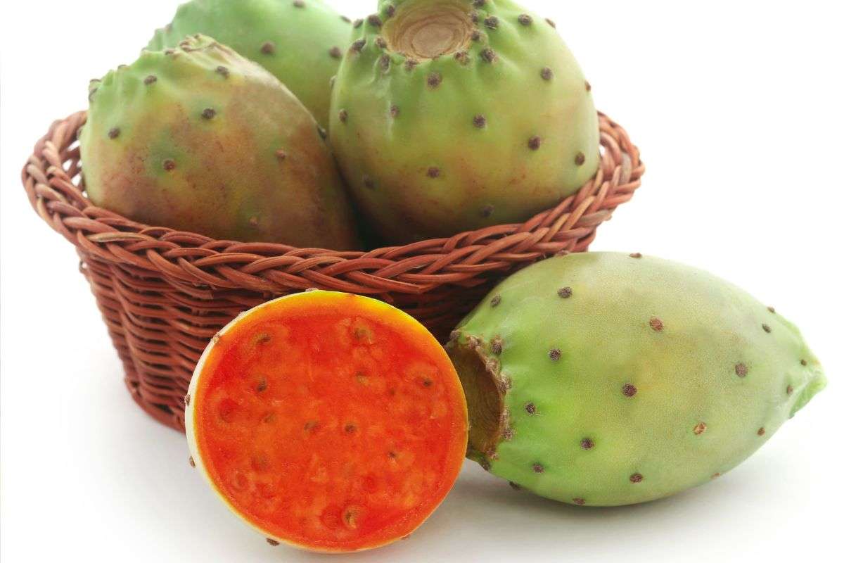 Fichi d'India senza spine