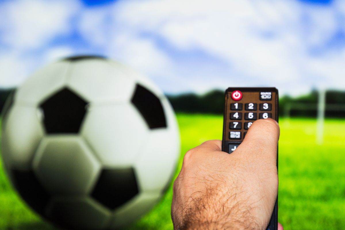 spettatore guarda partita di calcio