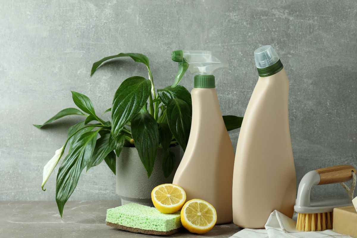 Limoni spugne e prodotti pe la pulizia 