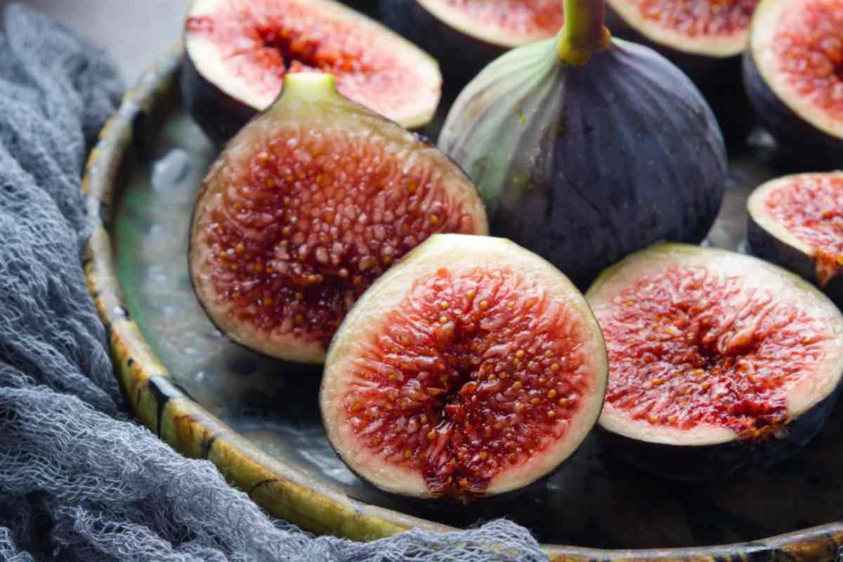 fichi