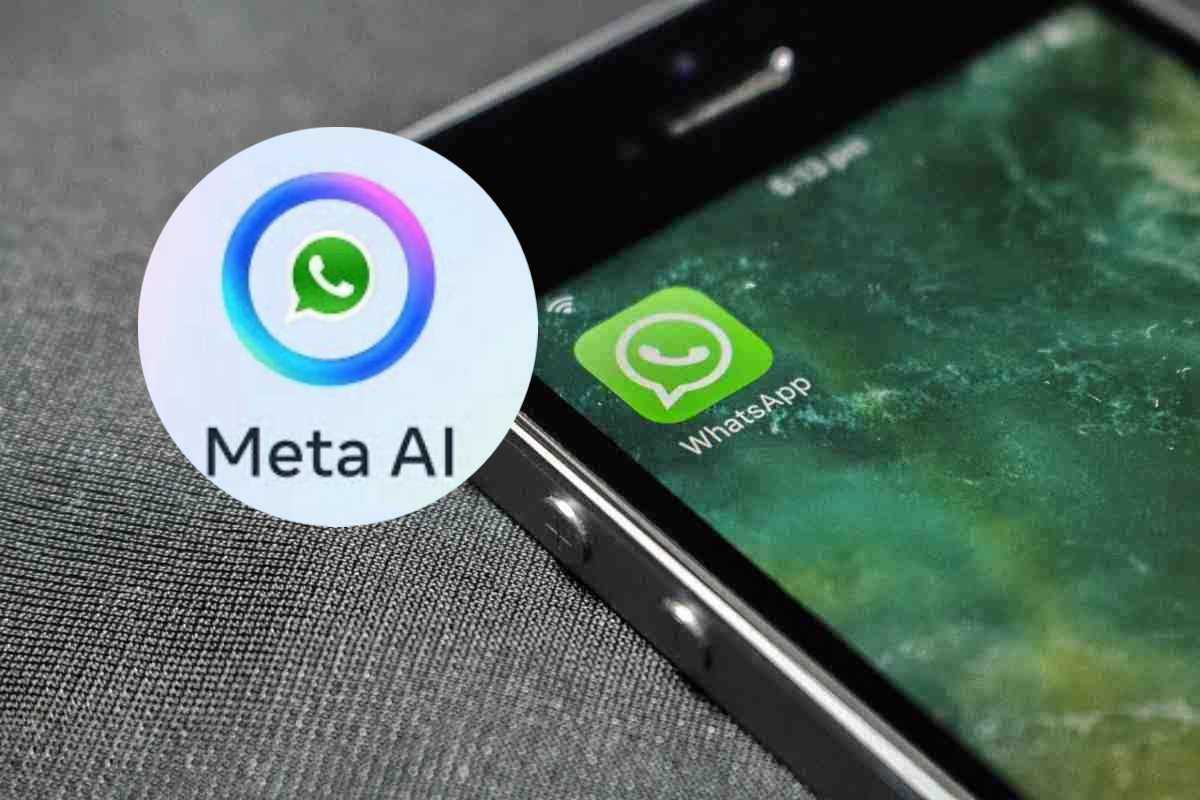 whatsapp sul cellulare