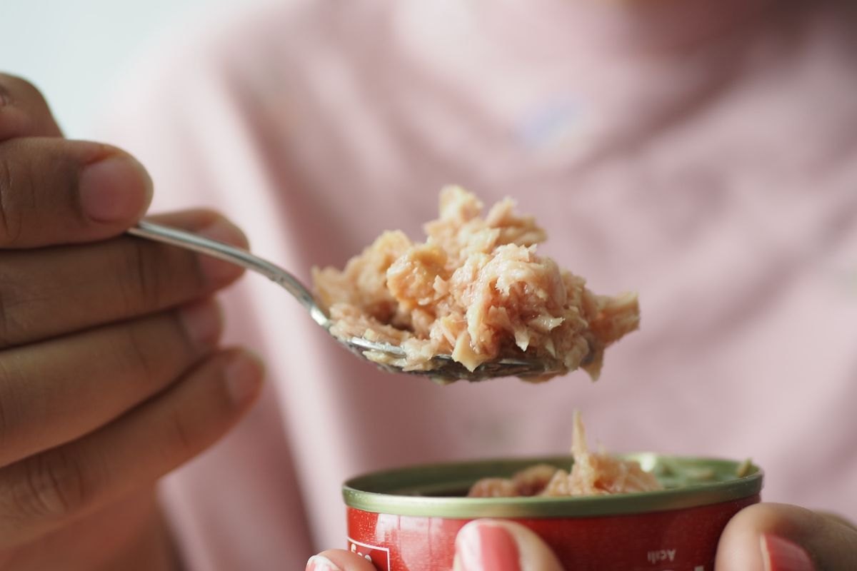 Persona mangia scatoletta di tonno