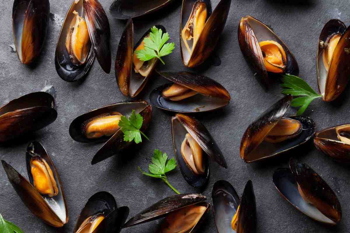 Cozze cucinate e condite
