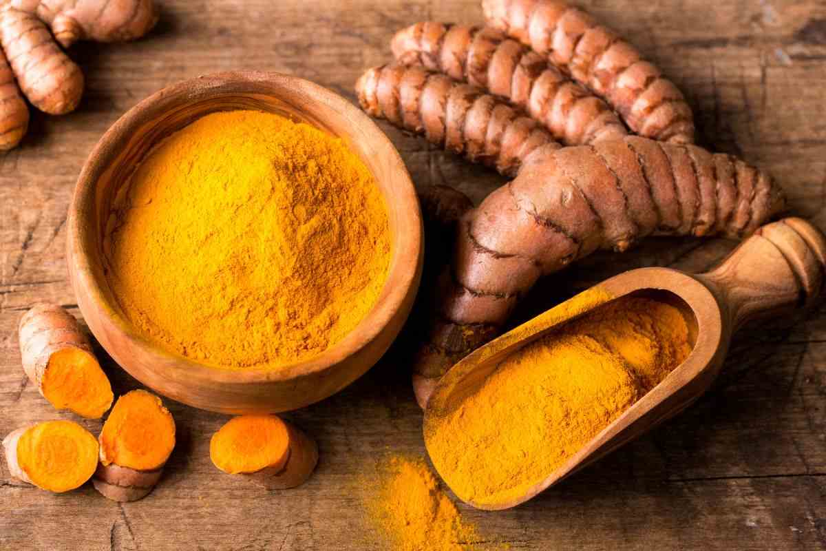 Curcuma radice fresca