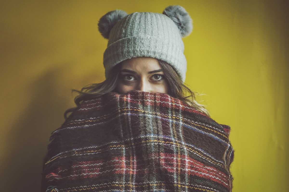 Freddo