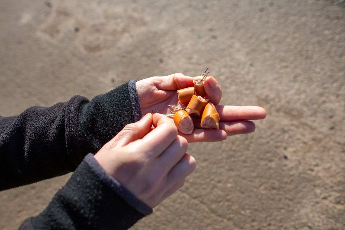 Esce pericolose per gli animali