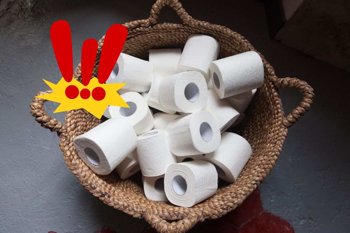 Rotoli di carta igienica messi in un cestino