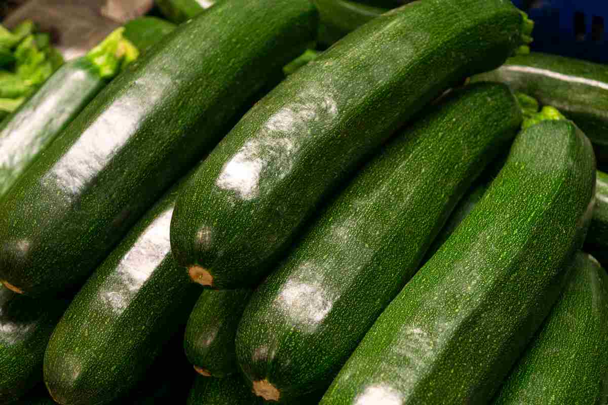 Zucchine