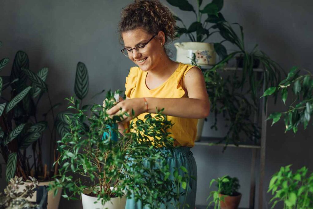 ragazza si prende cura di alcune piante